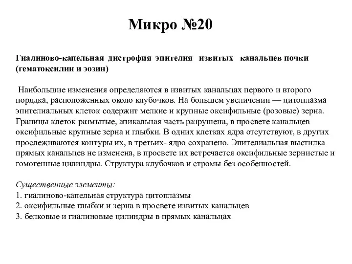 Микро №20 Гиалиново-капельная дистрофия эпителия извитых канальцев почки (гематоксилин и эозин) Наибольшие