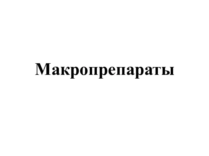 Макропрепараты