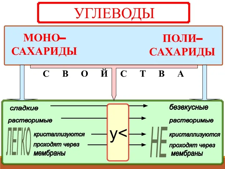 НЕ у С В О Й С Т В А ЛЕГКО УГЛЕВОДЫ