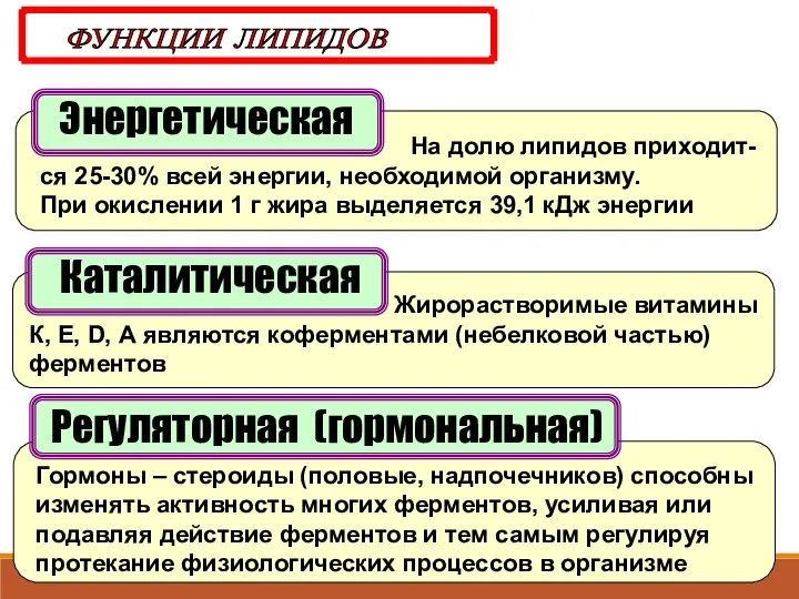 Энергетическая ФУНКЦИИ ЛИПИДОВ На долю липидов приходит-ся 25-30% всей энергии, необходимой организму.