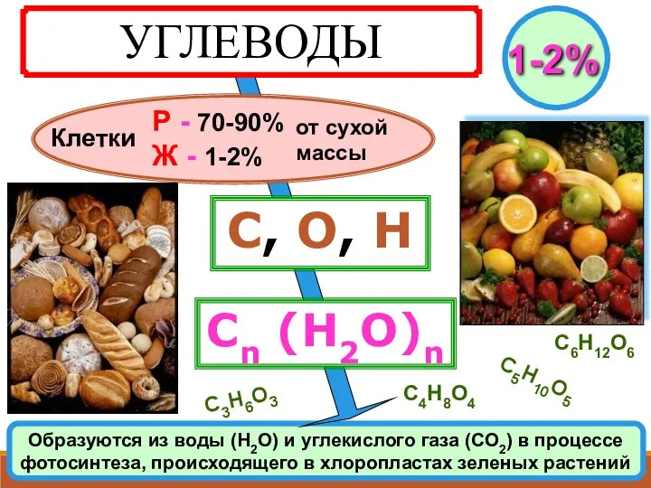 УГЛЕВОДЫ Клетки С, О, Н Сn (Н2О)n Р - 70-90% Ж -