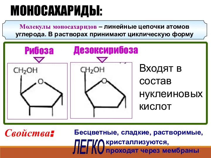 Рибоза Дезоксирибоза МОНОСАХАРИДЫ: Свойства: Бесцветные, сладкие, растворимые, кристаллизуются, проходят через мембраны ЛЕГКО