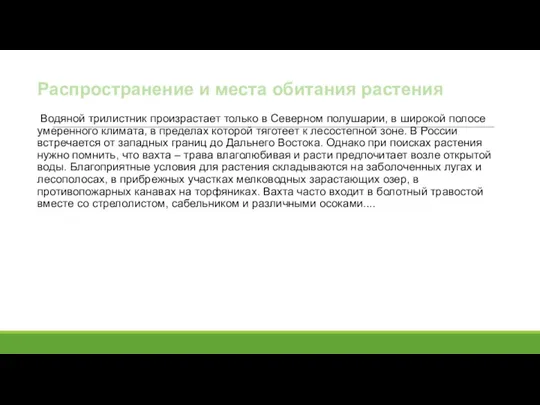 Распространение и места обитания растения Водяной трилистник произрастает только в Северном полушарии,