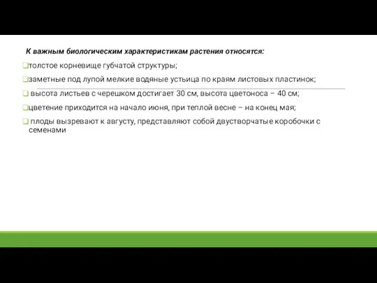 К важным биологическим характеристикам растения относятся: толстое корневище губчатой структуры; заметные под