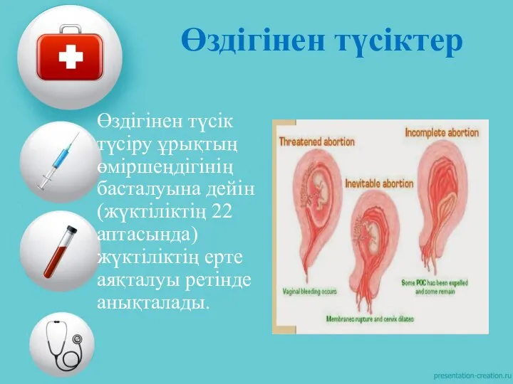 Өздігінен түсіктер Өздігінен түсік түсіру ұрықтың өміршеңдігінің басталуына дейін (жүктіліктің 22 аптасында)