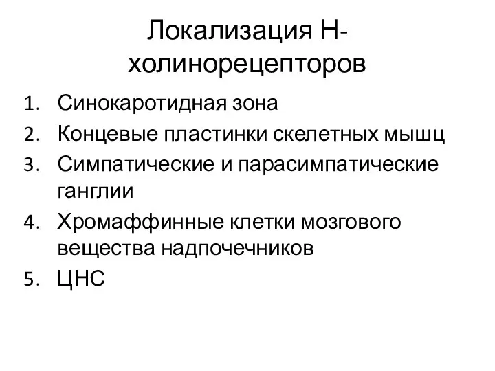 Локализация Н-холинорецепторов Синокаротидная зона Концевые пластинки скелетных мышц Симпатические и парасимпатические ганглии