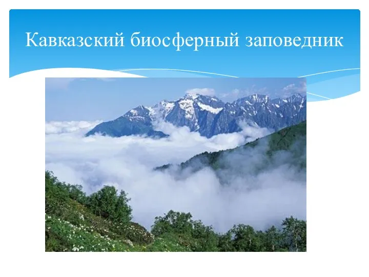 Кавказский биосферный заповедник