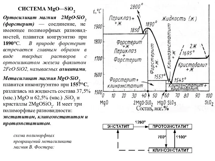 СИСТЕМА MgO—SiO2 Ортосиликат магния 2MgO·SiO2 (форстерит) — соединение, не имеющее полиморфных разновид-ностей,
