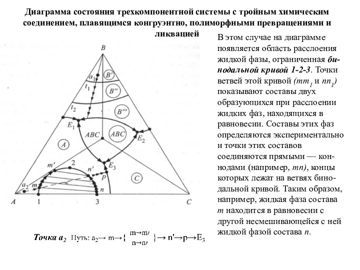 Диаграмма состояния трехкомпонентной системы с тройным химическим соединением, плавящимся конгруэнтно, полиморфными превращениями