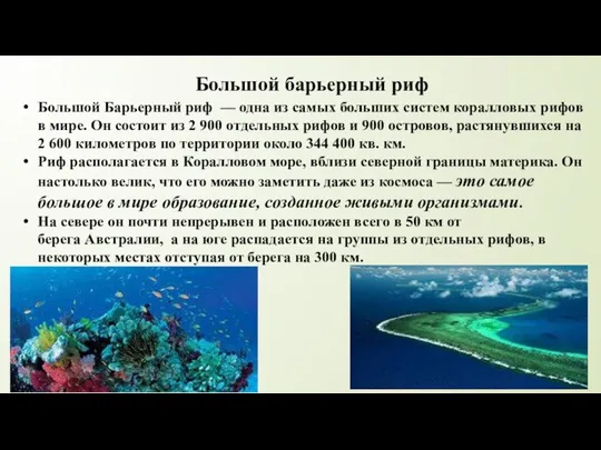Большой барьерный риф Большой Барьерный риф — одна из самых больших систем