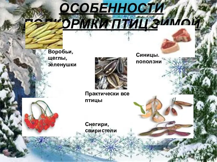 ОСОБЕННОСТИ ПОДКОРМКИ ПТИЦ ЗИМОЙ Воробьи,щеглы, зеленушки Синицы.поползни Практически все птицы Снегири,свиристели