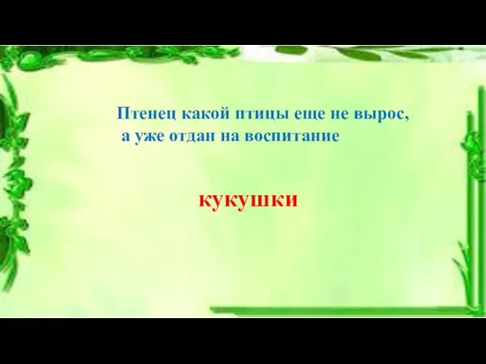 Птенец какой птицы еще не вырос, а уже отдан на воспитание кукушки