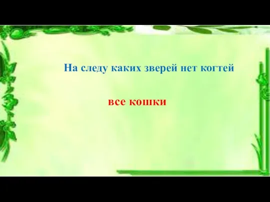 На следу каких зверей нет когтей все кошки