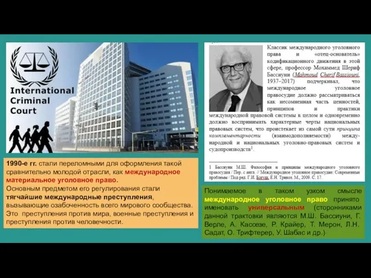 1990-е гг. стали переломными для оформления такой сравнительно молодой отрасли, как международное