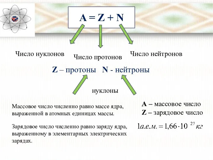 A = Z + N Число нуклонов Число протонов Число нейтронов Z