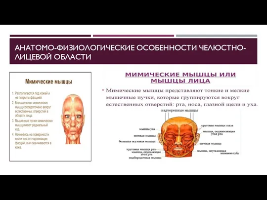 АНАТОМО-ФИЗИОЛОГИЧЕСКИЕ ОСОБЕННОСТИ ЧЕЛЮСТНО-ЛИЦЕВОЙ ОБЛАСТИ