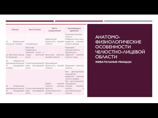 АНАТОМО-ФИЗИОЛОГИЧЕСКИЕ ОСОБЕННОСТИ ЧЕЛЮСТНО-ЛИЦЕВОЙ ОБЛАСТИ ЖЕВАТЕЛЬНЫЕ МЫЩЦЫ