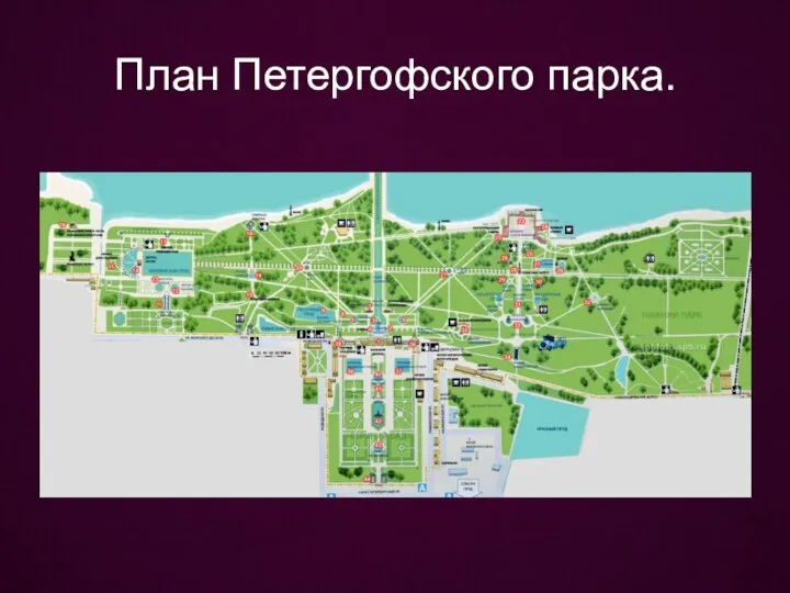План Петергофского парка.