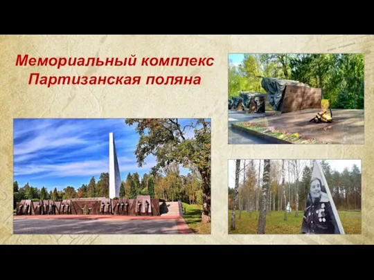 Мемориальный комплекс Партизанская поляна