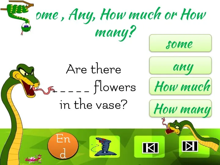 Are there _____ flowers in the vase? some any How much How