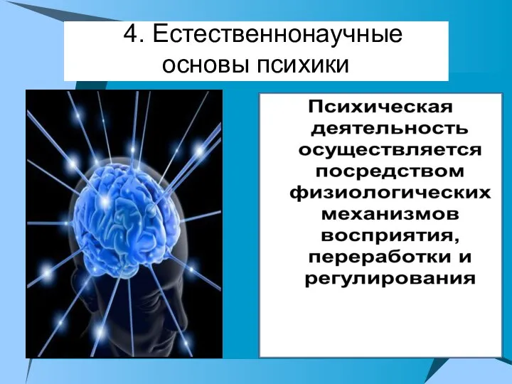 44. Естественнонаучные основы психики