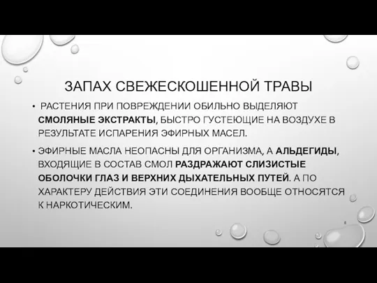 ЗАПАХ СВЕЖЕСКОШЕННОЙ ТРАВЫ РАСТЕНИЯ ПРИ ПОВРЕЖДЕНИИ ОБИЛЬНО ВЫДЕЛЯЮТ СМОЛЯНЫЕ ЭКСТРАКТЫ, БЫСТРО ГУСТЕЮЩИЕ