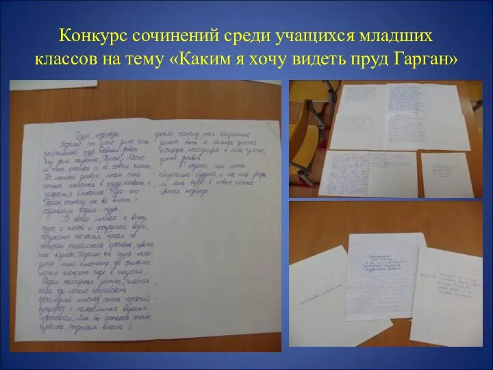 Конкурс сочинений среди учащихся младших классов на тему «Каким я хочу видеть пруд Гарган»