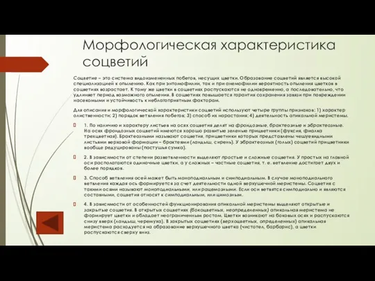 Морфологическая характеристика соцветий Соцветие – это система видоизмененных побегов, несущих цветки. Образование