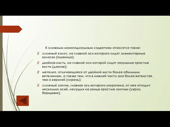 К сложным моноподиальным соцветиям относятся такие: сложный колос, на главной оси которого