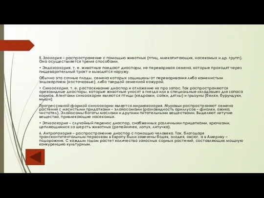 5. Зоохория – распространение с помощью животных (птиц, млекопитающих, насекомых и др.