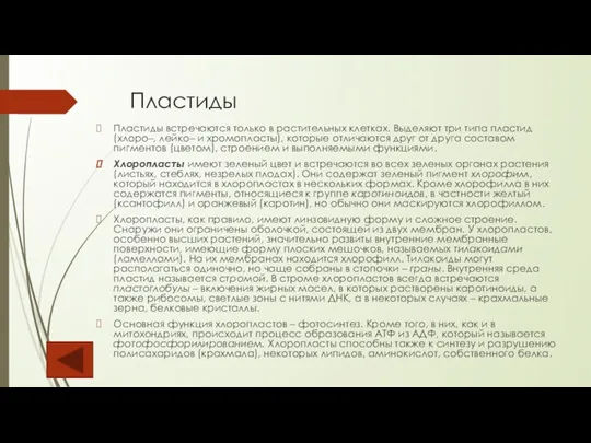 Пластиды Пластиды встречаются только в растительных клетках. Выделяют три типа пластид (хлоро–,