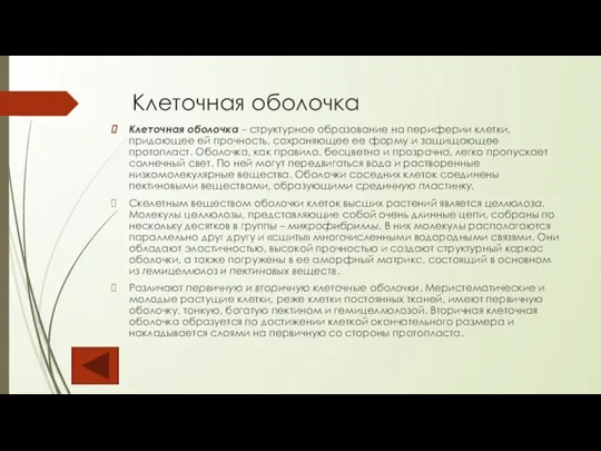 Клеточная оболочка Клеточная оболочка – структурное образование на периферии клетки, придающее ей