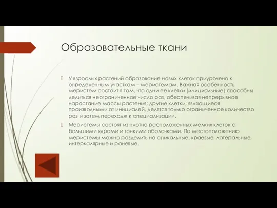 Образовательные ткани У взрослых растений образование новых клеток приурочено к определенным участкам