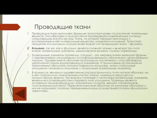 Проводящие ткани Проводящие ткани выполняют функцию транспортировки по растению питательных веществ. Они