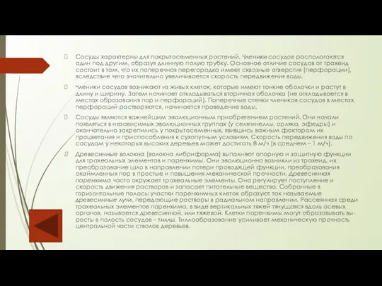 Сосуды характерны для покрытосеменных растений. Членики сосудов располагаются один под другим, образуя