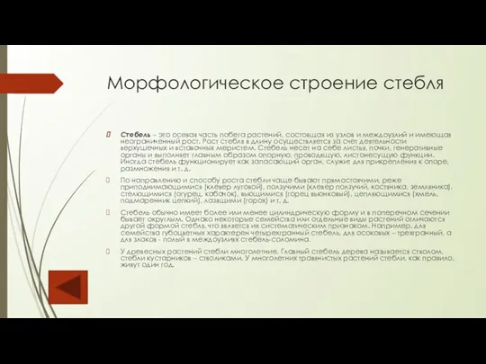 Морфологическое строение стебля Стебель – это осевая часть побега растений, состоящая из