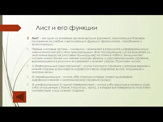 Лист и его функции Лист – это один из основных органов высших