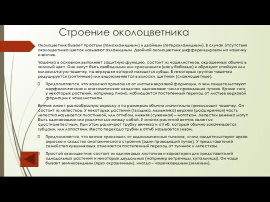 Строение околоцветника Околоцветник бывает простым (гомохламидным) и двойным (гетерохламидным). В случае отсутствия