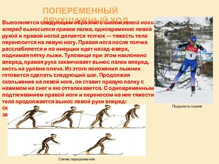 ПОПЕРЕМЕННЫЙ ДВУХШАЖНЫЙ ХОД Выполняется следующим образом: с шагом левой ноги вперед выносится