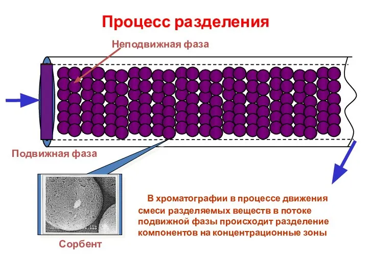 Подвижная фаза Сорбент В хроматографии в процессе движения смеси разделяемых веществ в
