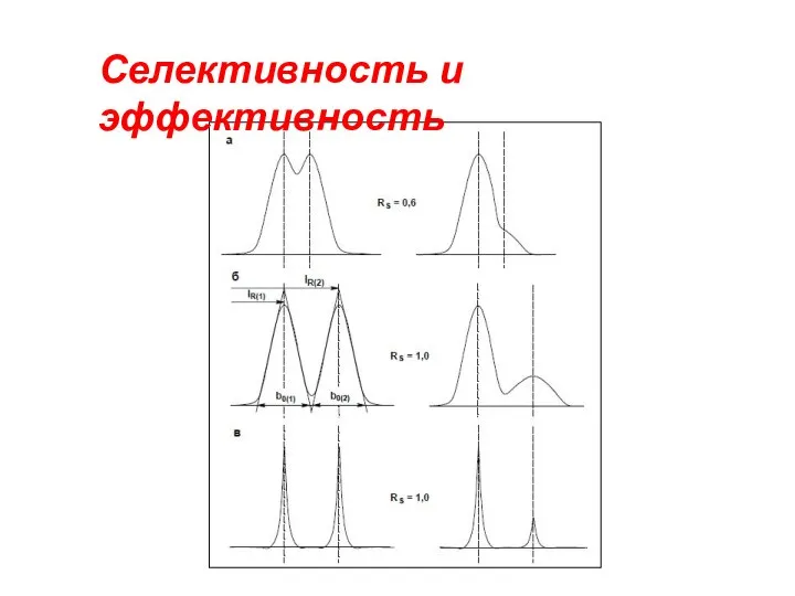 Селективность и эффективность