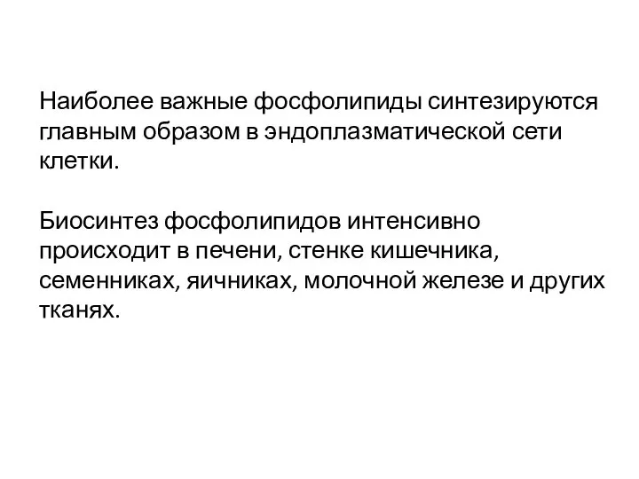 Наиболее важные фосфолипиды синтезируются главным образом в эндоплазматической сети клетки. Биосинтез фосфолипидов