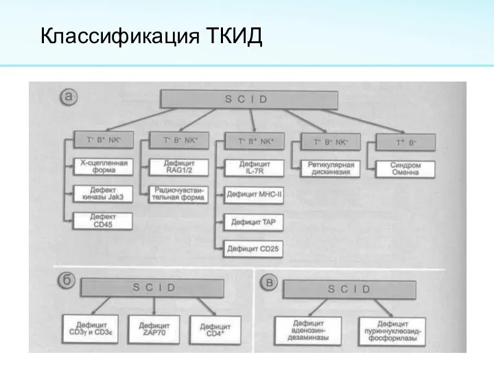 Классификация ТКИД