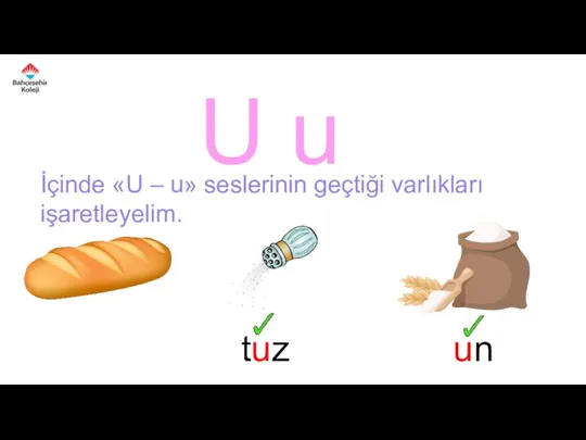 U u İçinde «U – u» seslerinin geçtiği varlıkları işaretleyelim. un tuz