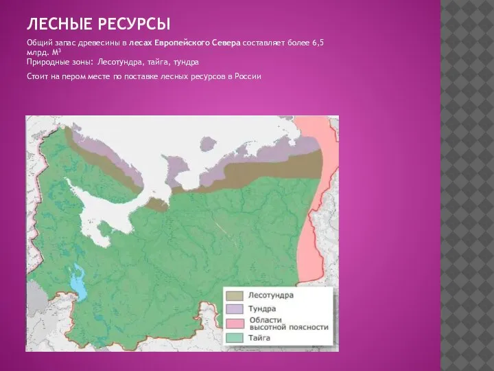 ЛЕСНЫЕ РЕСУРСЫ Общий запас древесины в лесах Европейского Севера составляет более 6,5млрд.