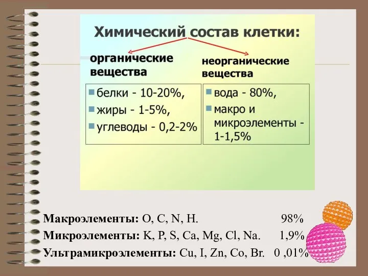 Макроэлементы: O, C, N, H. 98% Микроэлементы: K, P, S, Ca, Mg,