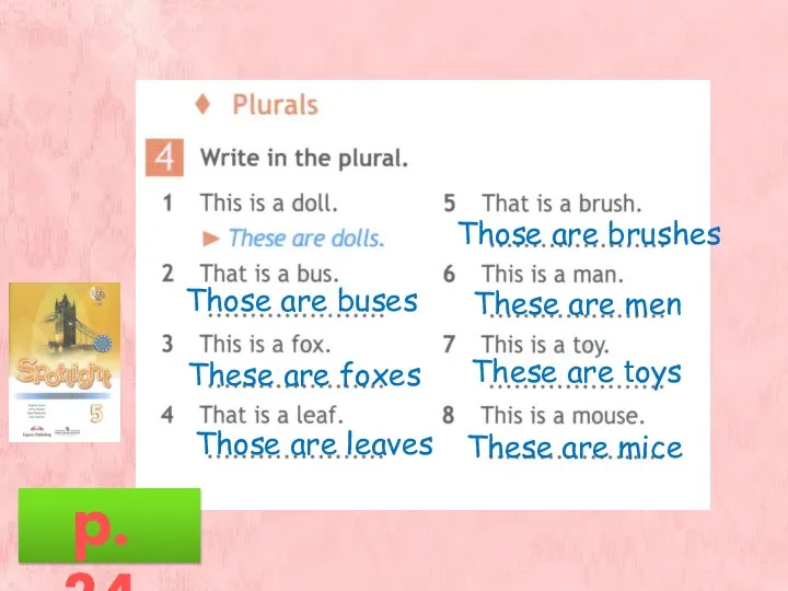 Those are buses These are foxes Those are leaves Those are brushes
