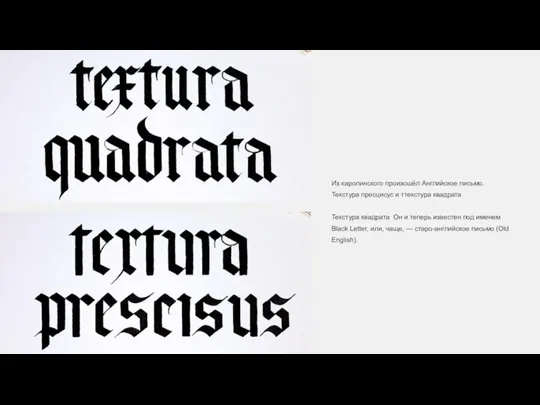 Из каролинского произошёл Английское письмо. Текстура пресцисус и ттекстура квадрата Текстура квадрата