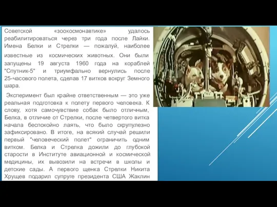 Советской «зоокосмонавтике» удалось реабилитироваться через три года после Лайки. Имена Белки и