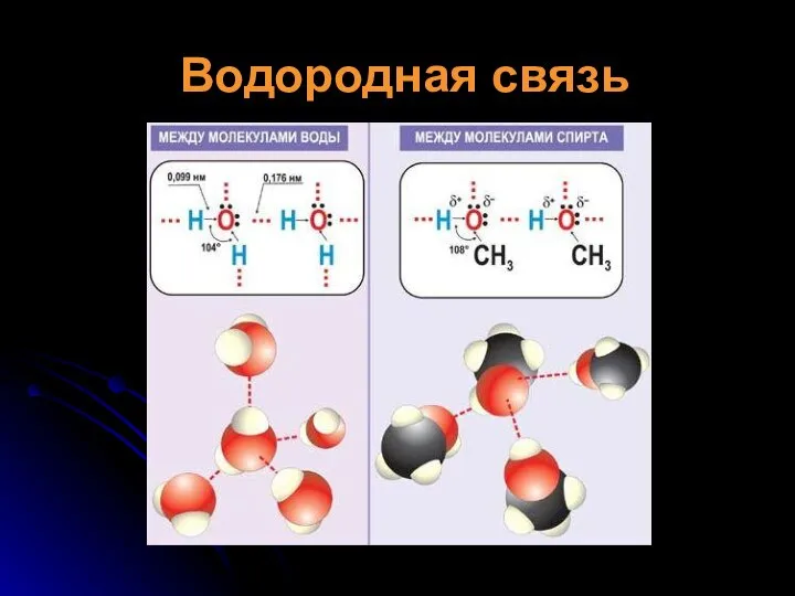 Водородная связь